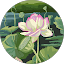Chavela A., verified Google reviewer