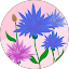 Melina J., verified Google reviewer